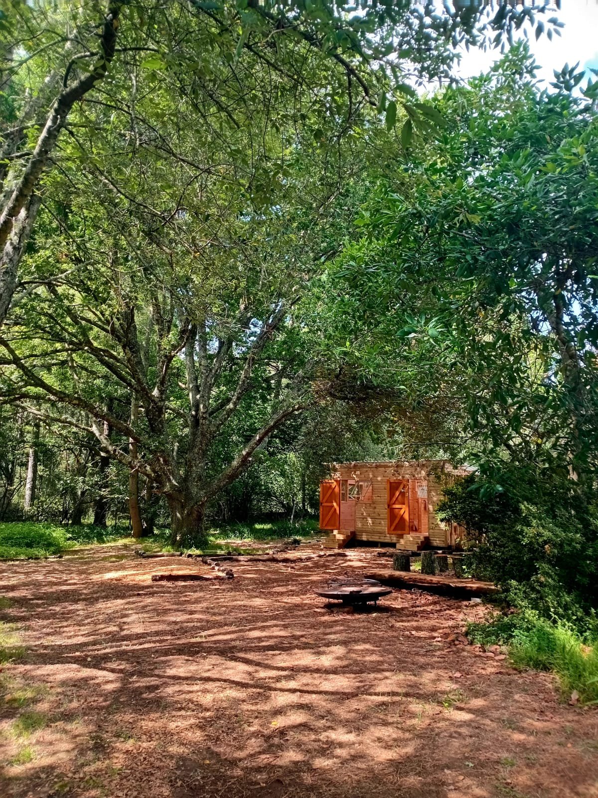 The private clearing at Misty Campsite