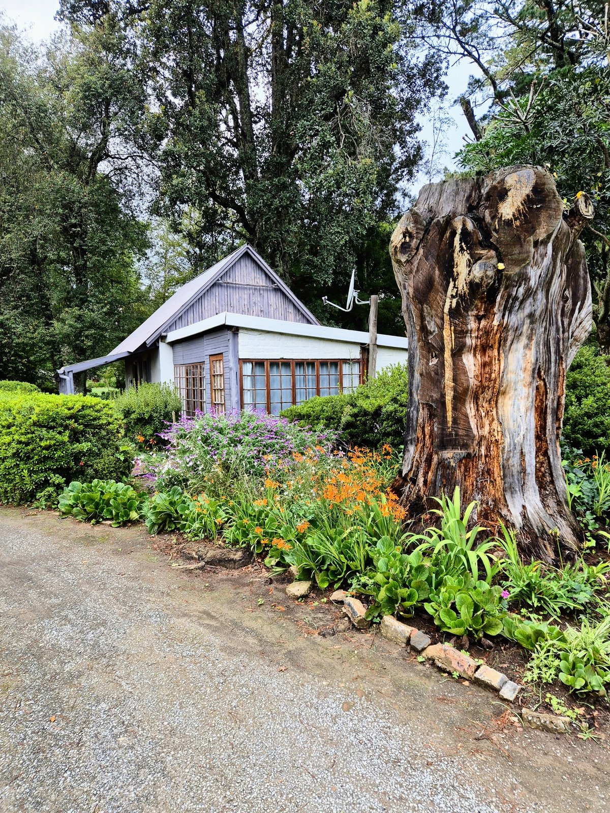 The garden path at Owl