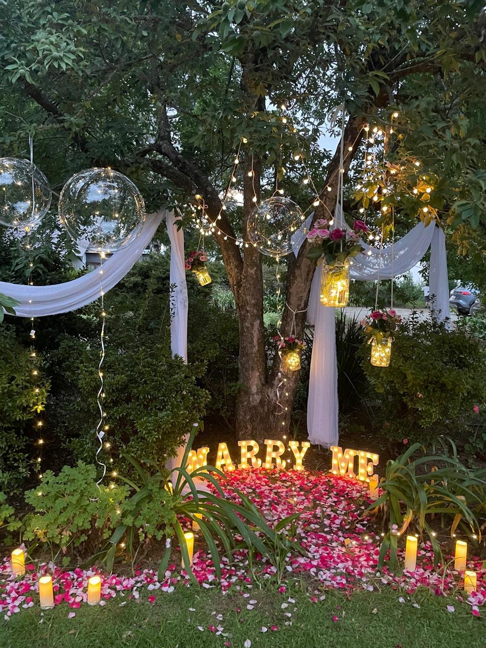 The marquee among the trees by the pond at Maylodge