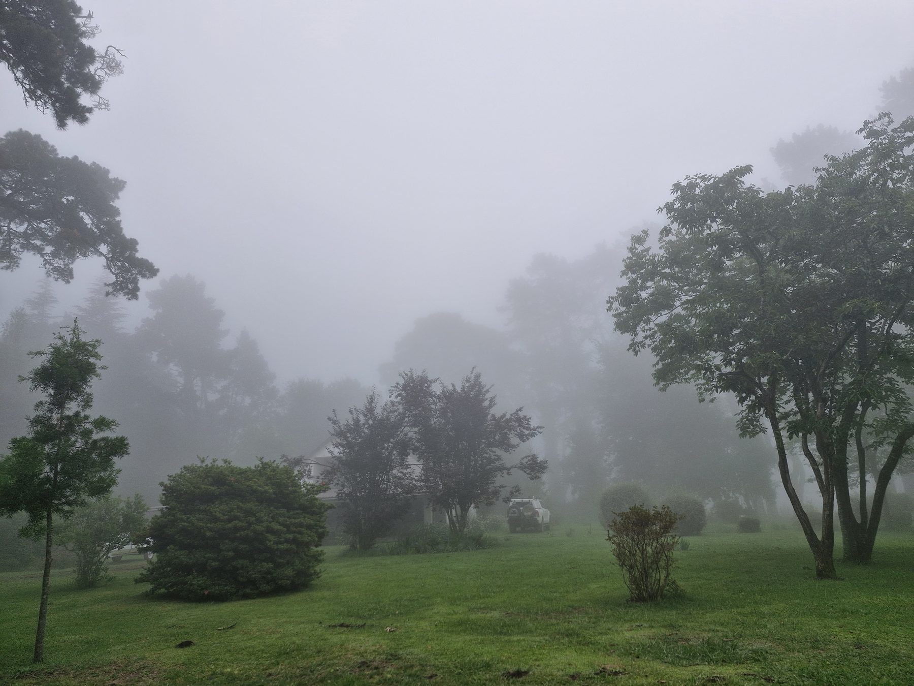 Morning mist lying across the lawn and trees at Maylodge, Hogsback