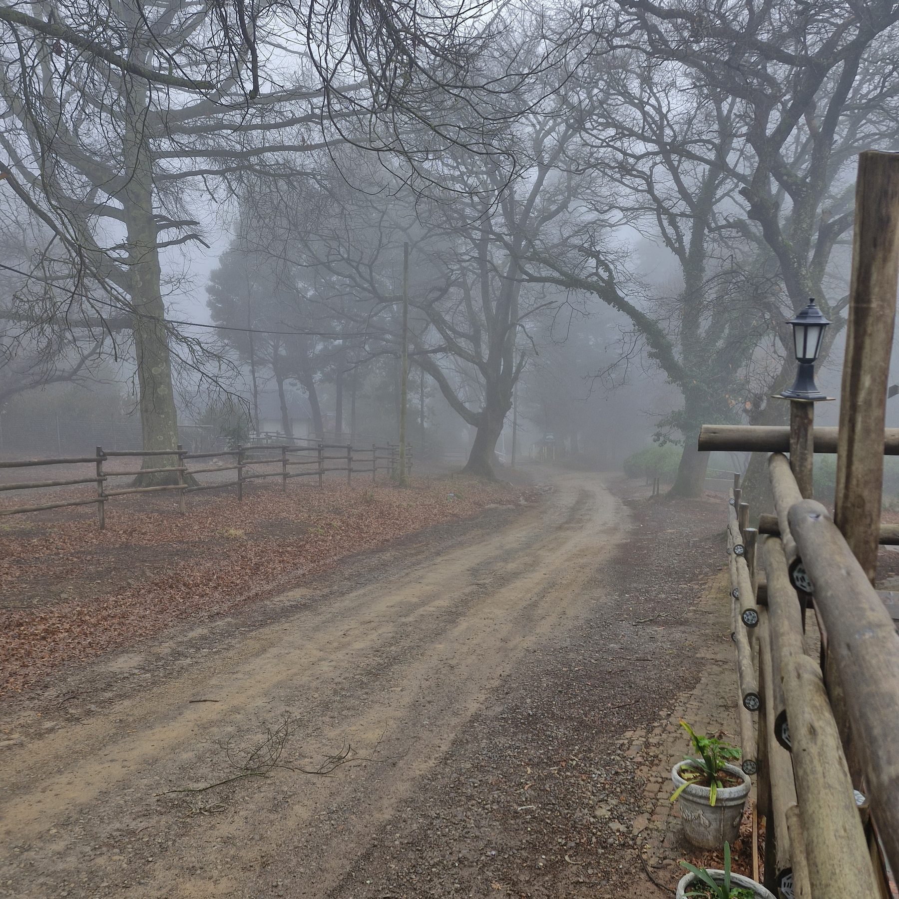 A misty dirt road leading into Hogsback village past a post-and-rail fence
